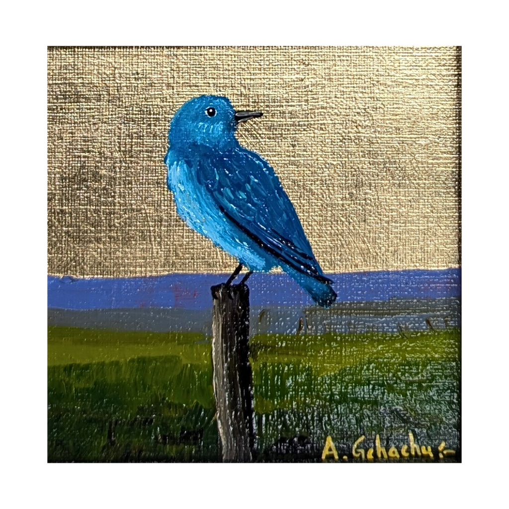 "Baby Bluebird" by Anthony Gchachu