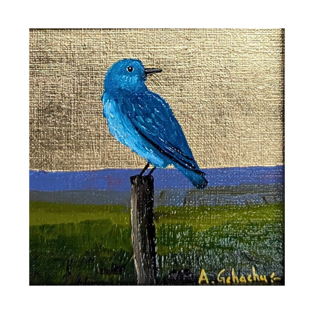 "Baby Bluebird" by Anthony Gchachu