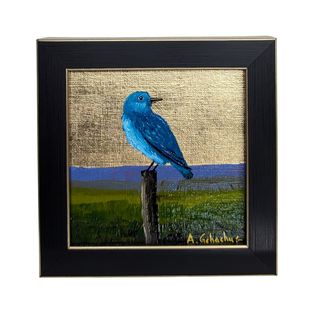 "Baby Bluebird" by Anthony Gchachu