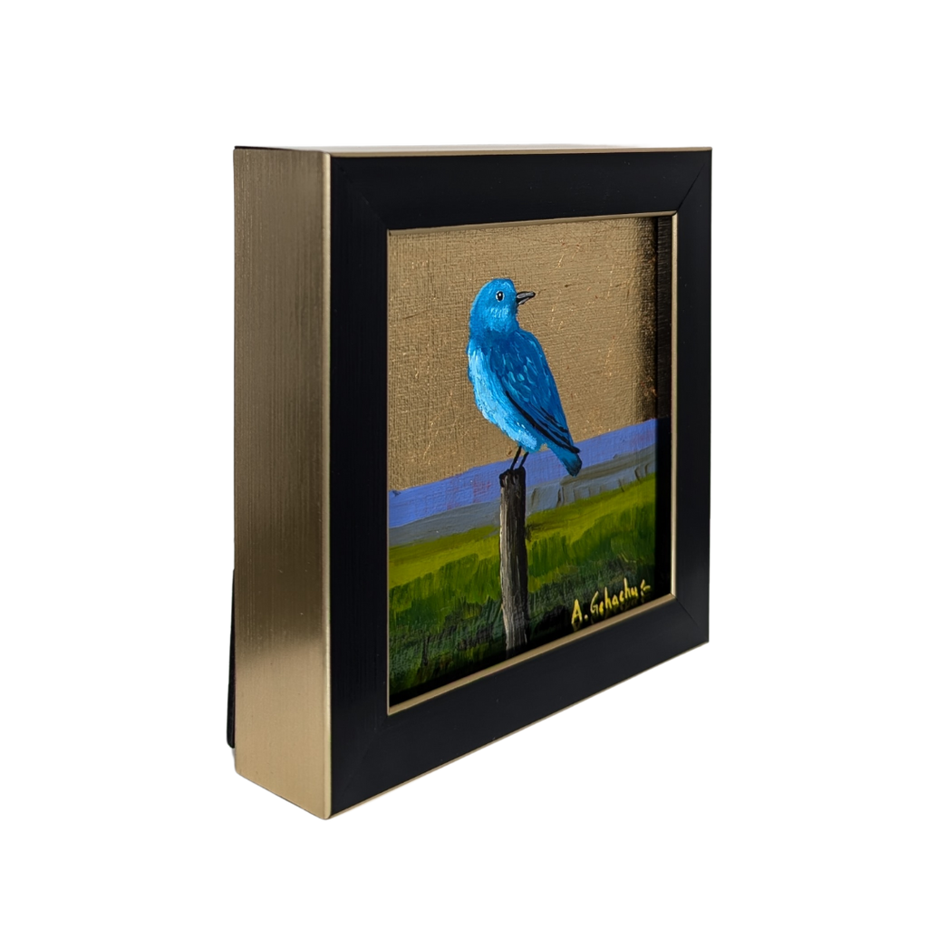 "Baby Bluebird" by Anthony Gchachu