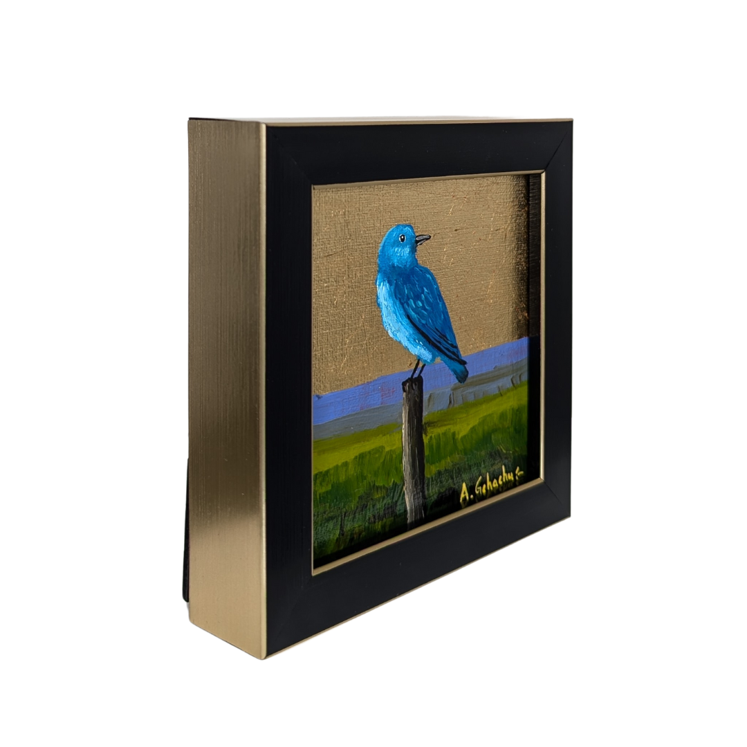 "Baby Bluebird" by Anthony Gchachu