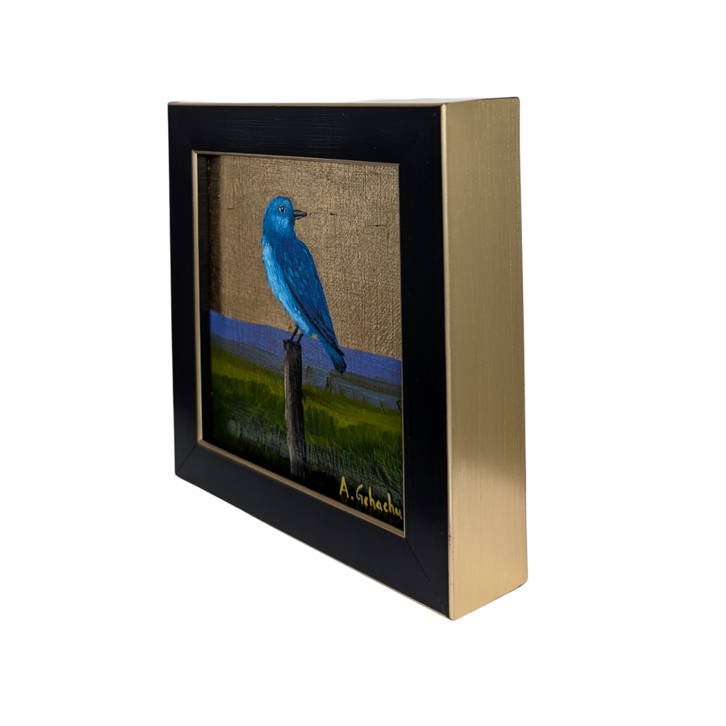 "Baby Bluebird" by Anthony Gchachu