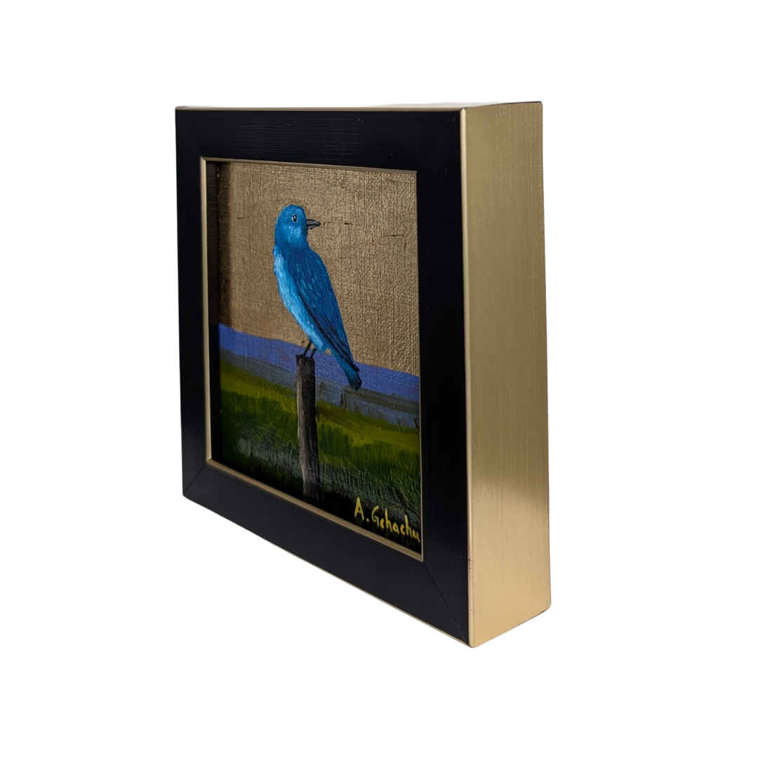 "Baby Bluebird" by Anthony Gchachu