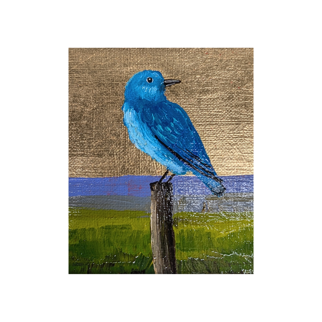 "Baby Bluebird" by Anthony Gchachu